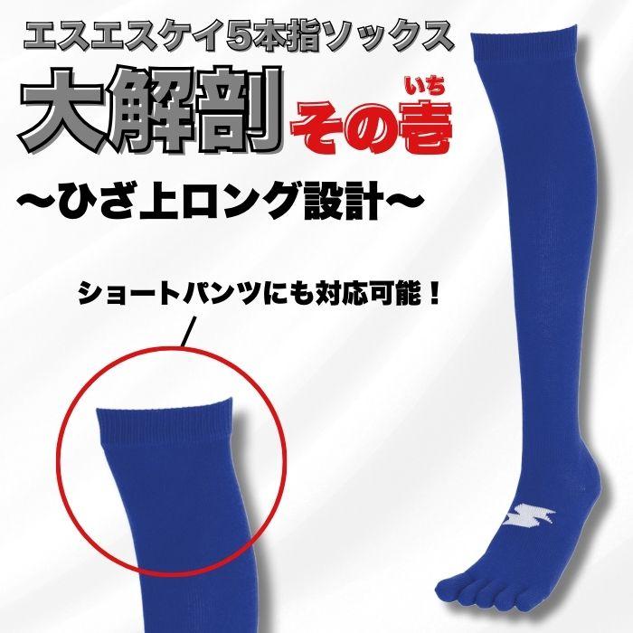エスエスケイ（SSK） 野球 ソフトボール 3足組5本指ソックス カラー