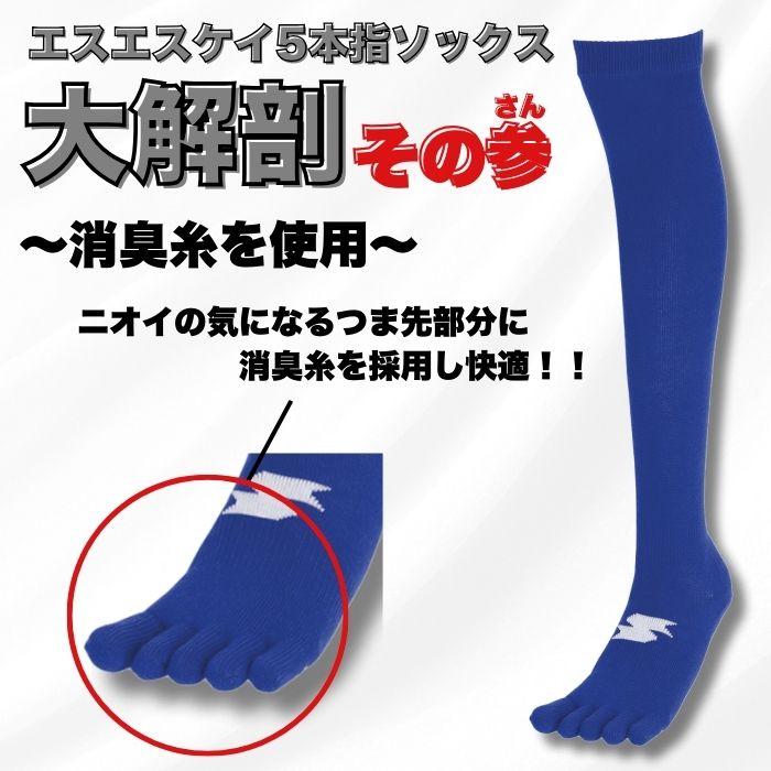 エスエスケイ（SSK） 野球 ソフトボール 3足組5本指ソックス カラー