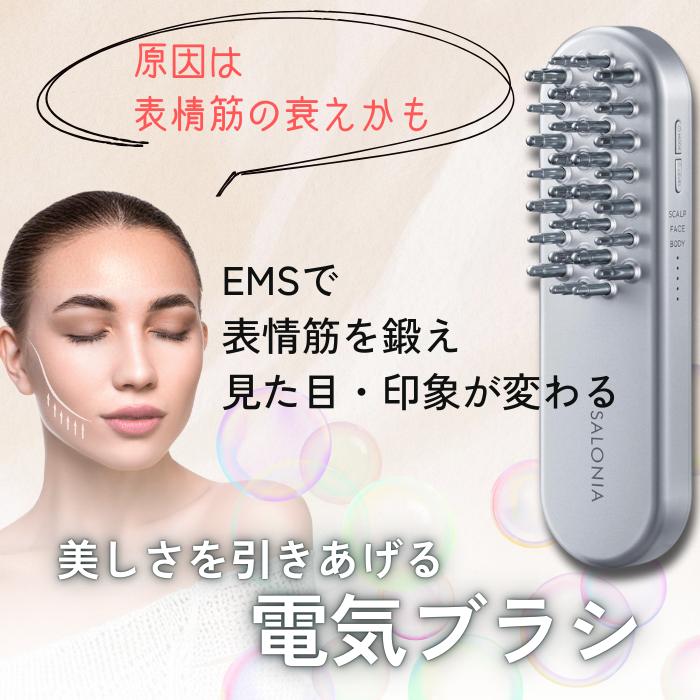 SALONIA（サロニア） EMSリフトブラシ EMSブラシ EMS リフトブラシ