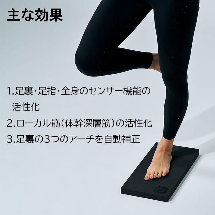 【訳あり】座って揺らすだけ！ボディメトリクス フォレスト｜リハビリ・体幹ケア BODYMETRIX（ボディメトリクス） メトリクスフォーム METRIX Foam