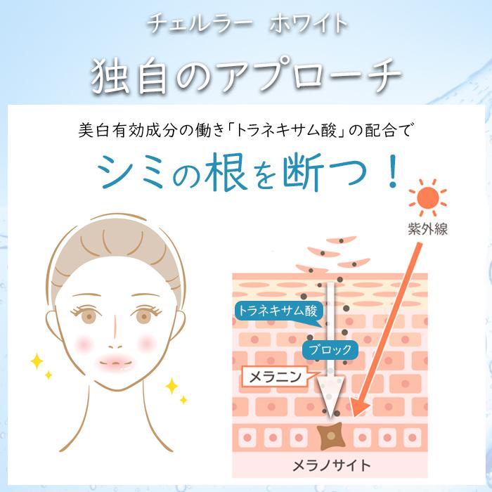CELLULA チェルラーホワイト ブライトセラム 30ml （大容量）卵殻膜