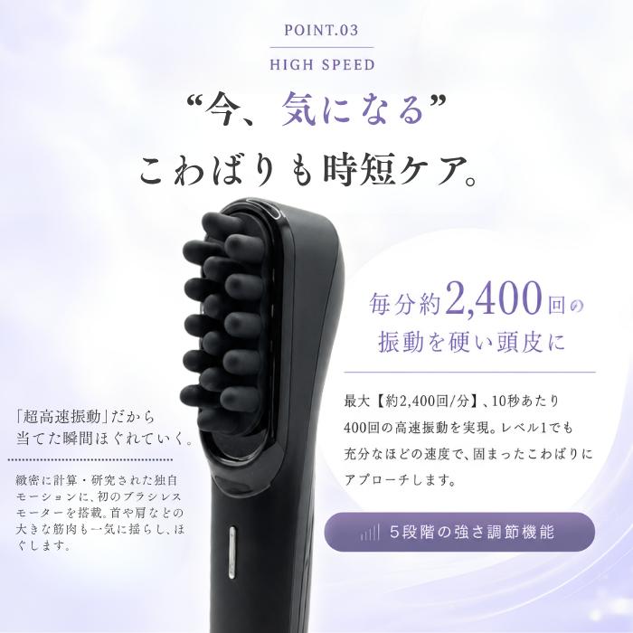 MYTREX（マイトレックス） MYTREX VIDO モーションブラシ ビドー MT