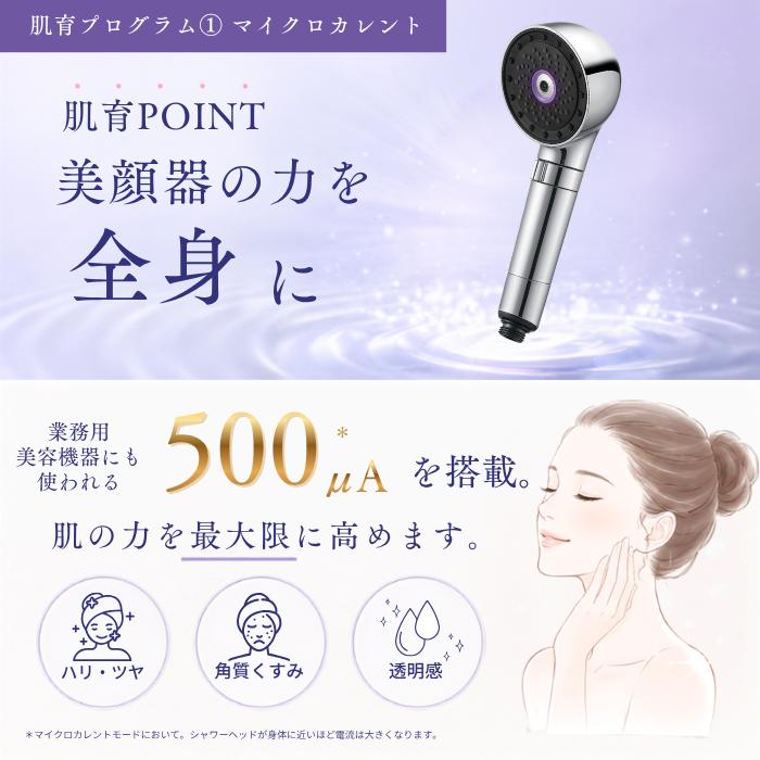MYTREX（マイトレックス） MYTREX HIHO FINE BUBBLE＋e ナノバブル 