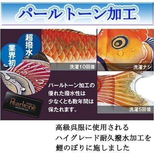 在庫あり 即納】【在庫あり 即納】 『天華 鯉のぼり １．５ｍ 一匹