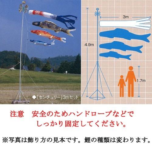 美しい『天華 鯉のぼり 庭用 ≪３ｍ≫ スタンドフルセット』 鯉のぼり