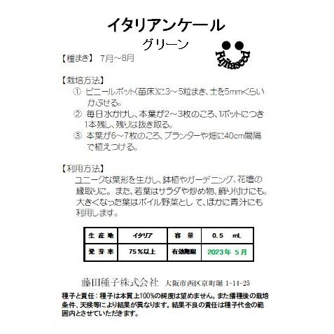 野菜 タネ 種 イタリアンケール グリーン 藤田種子 G 10 藤田種子株式会社 通販 Yahoo ショッピング