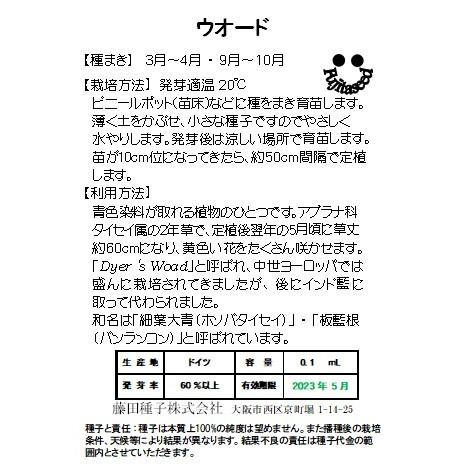 ハーブ 正規認証品 新規格 タネ 種 藤田種子 ウォード
