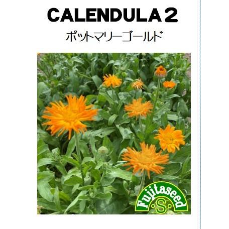 ハーブ タネ 種 カレンデュラ２ ポットマリーゴールド 藤田種子 H 143 藤田種子株式会社 通販 Yahoo ショッピング