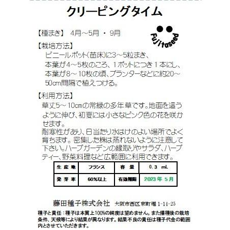 ハーブ タネ 種 クリーピングタイム 藤田種子 H 38 藤田種子株式会社 通販 Yahoo ショッピング