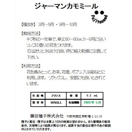 ハーブ タネ 種 ジャーマンカモミール 藤田種子 H 6 藤田種子株式会社 通販 Yahoo ショッピング