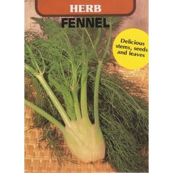ハーブ タネ 種 フェンネル フローレンス 藤田種子 買い取り