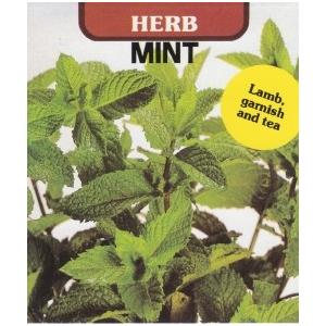 ハーブ タネ 種 ペパーミント 藤田種子 Saopedrodasmissoes Rs Gov Br