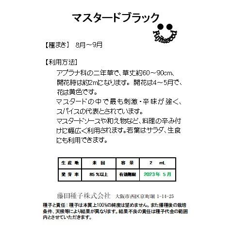 野菜 タネ 種 からし菜 マスタードブラック 藤田種子 L 11 藤田種子株式会社 通販 Yahoo ショッピング