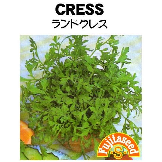 野菜 タネ 種 クレス ランドクレス ガーデンクレス 藤田種子 L 14 藤田種子株式会社 通販 Yahoo ショッピング