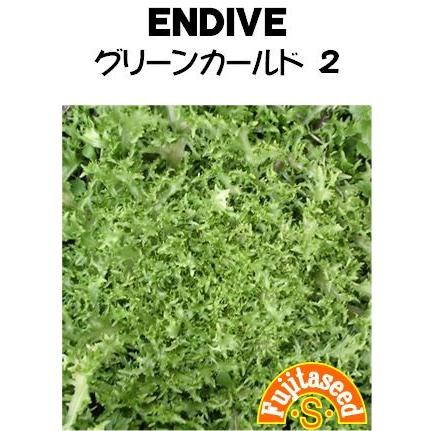 野菜 タネ 種 藤田種子 エンダイブ グリーンカールド２ サービス 格安 価格でご提供いたします