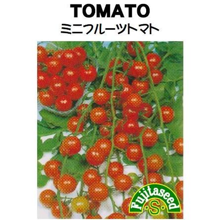 【74%OFF!】 野菜 タネ 種 藤田種子 新作販売 ミニフルーツトマト