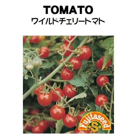 野菜 タネ 種 ワイルドチェリートマト 藤田種子 T 23 藤田種子株式会社 通販 Yahoo ショッピング