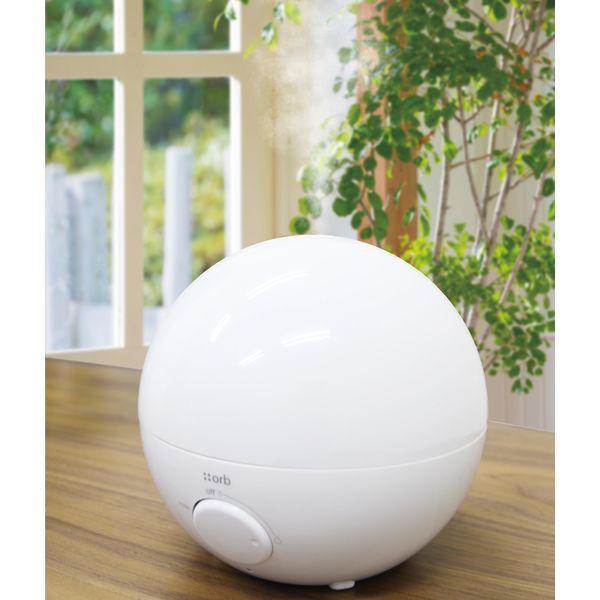 TOPLAND（トップランド） パーソナル 超音波加湿器 白 SH-RK80 WT 加湿