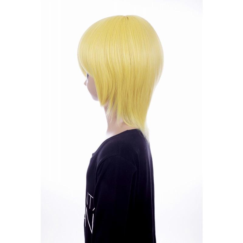 こうじ様　ウィッグ６個セット BJDドール用ウイッグ ⭐️wig ショート 白/銀/黒/茶/紫/金の6色