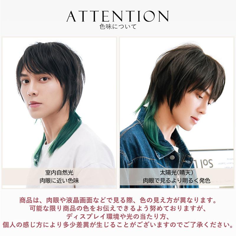 送料無料 ウィッグ メンズ ショート ウルフ かつら 自然 コスプレ 黒 金髪 赤髪 ピンク 青 緑 紫 男装 フルウィッグ 2toneロングウルフ Hmd68 ファッションウィッグ エクステ Tefure 通販 Yahoo ショッピング