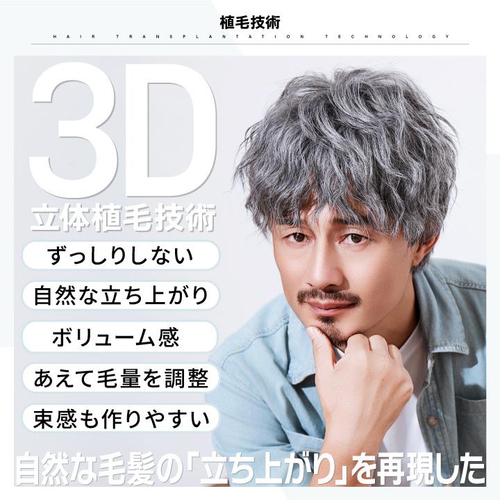 TefuRe（テフリ） バレない メンズウィッグ ウィッグ ショート 男性用