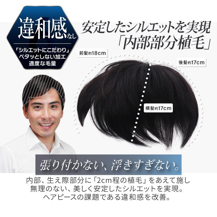 TefuRe（テフリ） 部分ウィッグ 人毛 男性用 部分ウィッグ ヘアピース