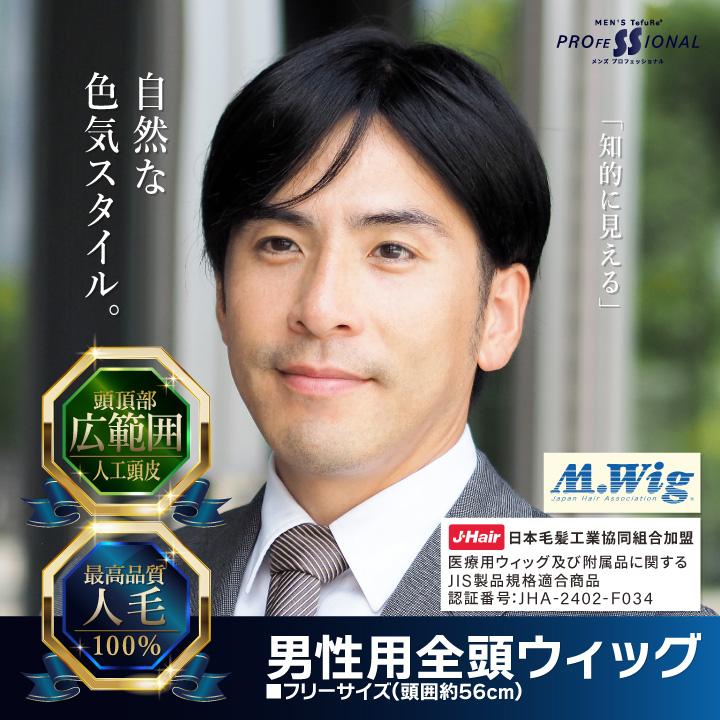TefuRe（テフリ） 【在庫限り】ウィッグ メンズ 医療用ウィッグ 男性