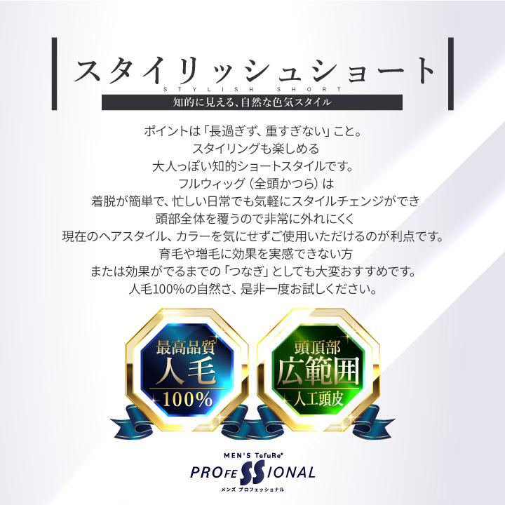 TefuRe（テフリ） ウィッグ メンズ 医療用ウィッグ 男性 メンズ