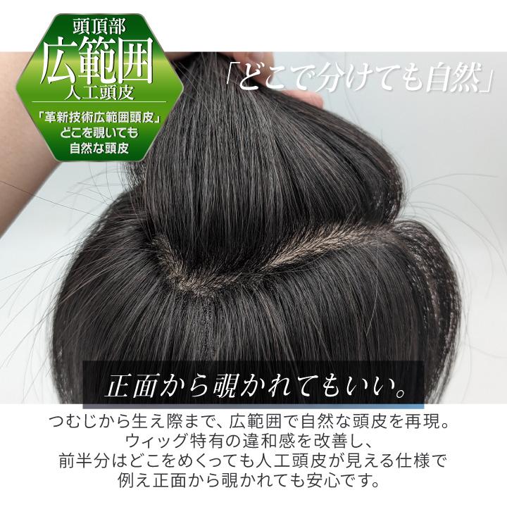 TefuRe（テフリ） ウィッグ メンズ 医療用ウィッグ 男性 メンズ