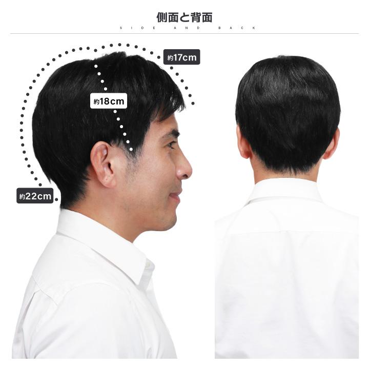 TefuRe（テフリ） ウィッグ メンズ 人毛 医療用ウィッグ 男性用 短髪