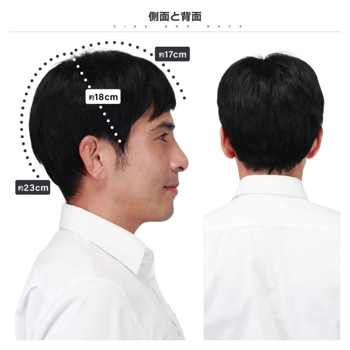 TefuRe（テフリ） 【在庫限り】ウィッグ メンズ 人毛 医療用ウィッグ