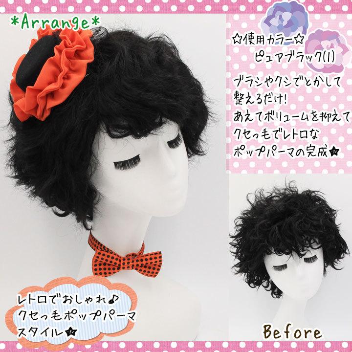 富士達 【ウィッグネットプレゼント】アフロウィッグ アフロ 黒