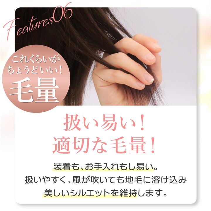 TefuRe（テフリ） 【人工頭皮付き】美シルエットヘアピース 部分