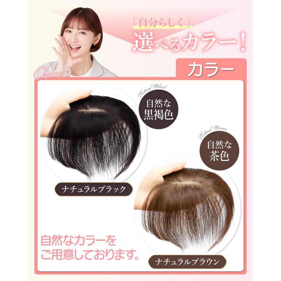 TefuRe（テフリ） 【人工頭皮付き】美シルエットヘアピース 部分
