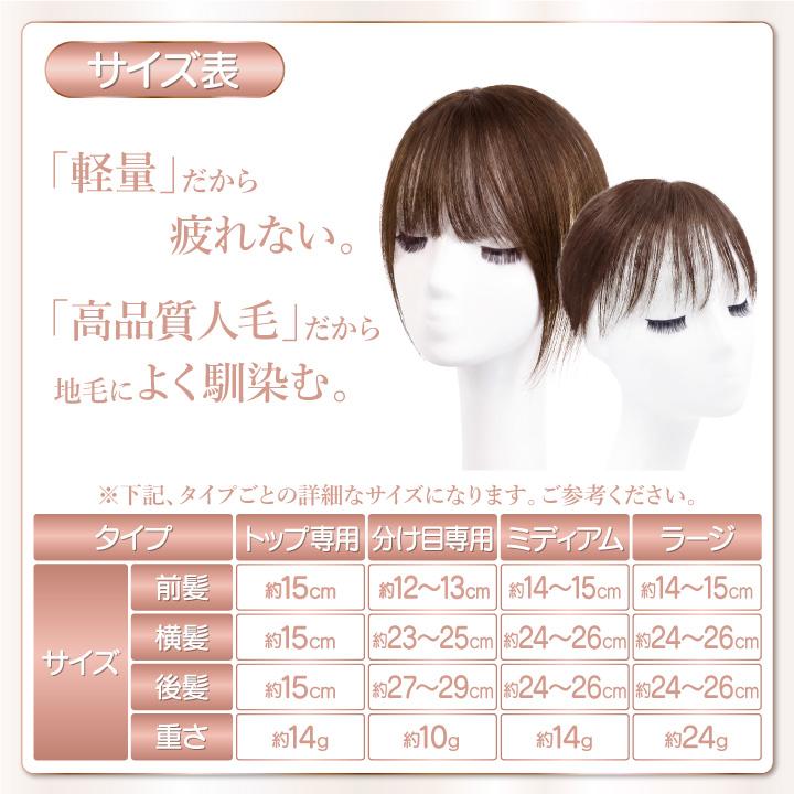 TefuRe（テフリ） 【人工頭皮付き】美シルエットヘアピース 部分