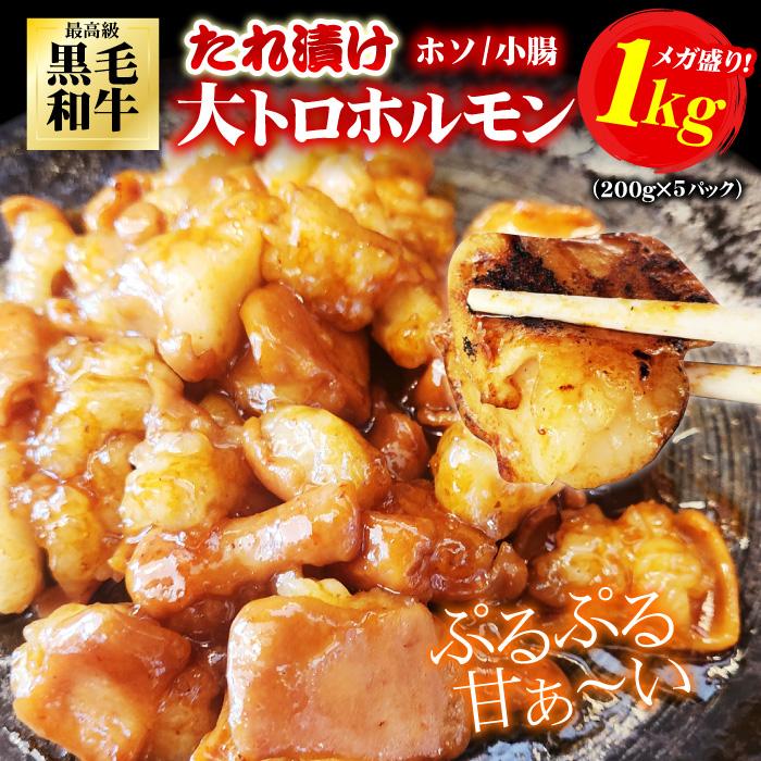 焼肉 ホルモン 黒毛和牛 大トロホルモン ホソ 小腸 たれ漬け 1kg 200g×5パック 味付け バーベキュー 肉 国産 BBQ メガ盛り ポイント利用 冷凍便 の商品画像