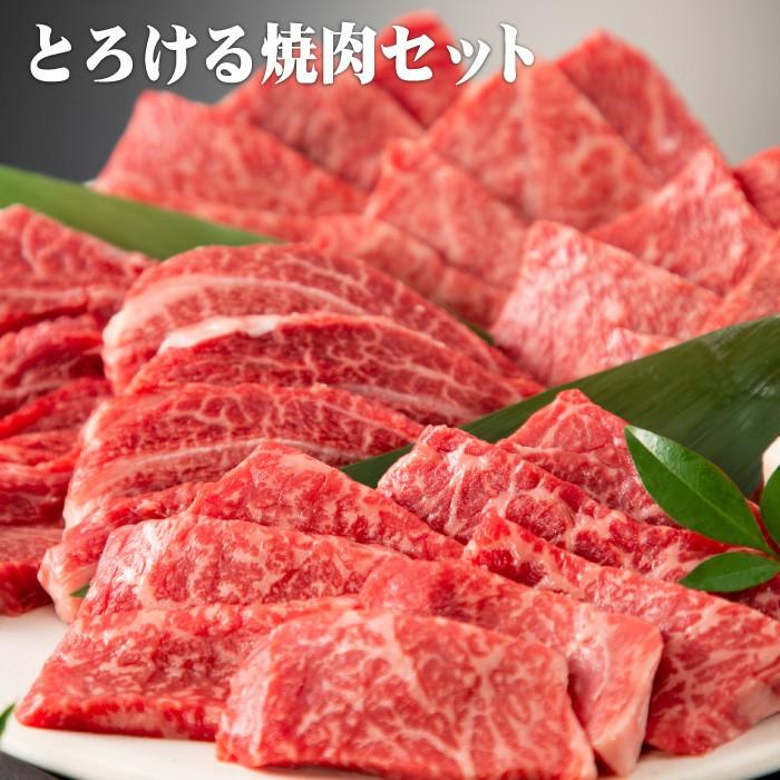 焼肉 黒毛和牛「極み」とろける焼肉セット 1kg（4〜5人前）（梅） メガ盛り 焼き肉 お試しセット 送料無料｜fujiwara11298｜02