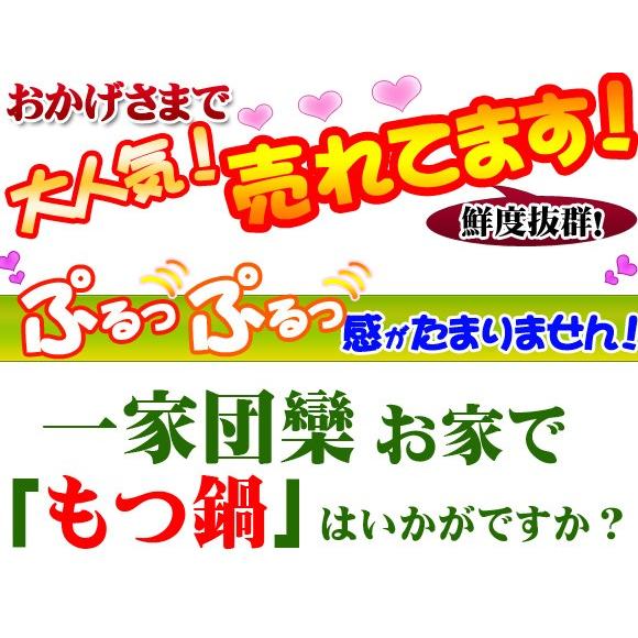 もつ鍋 取り寄せ 黒毛和牛 もつ鍋セット (2〜3人前) ホルモン500g+スープ セット もつ鍋 モツ鍋 お試し お取り寄せ グルメ｜fujiwara11298｜05