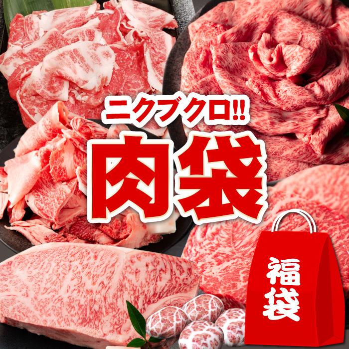 福袋 2022 食品 送料無料 肉袋 ザ ニクブクロ 安売り 肉 牛肉 2kg以上 海外 合計6品 中身がわかる いっぱい お肉