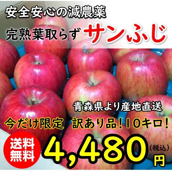 訳あり品！残りわずか！安全安心の減農薬！樹上完熟葉取らずリンゴ「サンふじ」●10キロ箱！青森の生産農家より直送！今だけ限定お得です！　｜fujiwararingo01414