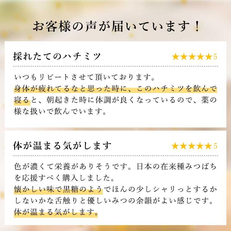 国産はちみつ 日本ミツバチのハチミツ 藤原養蜂場の日本在来種 みつばちの蜂蜜 にごり蜜 2.5kg ポリ容器 創業百二十余年 創業百二十余年老舗藤原養蜂場の画像