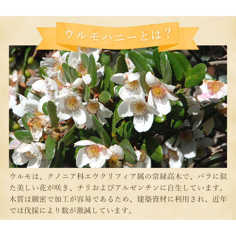 マヌカハニー＋国産京都☆百花蜂蜜③個＋りんご＆さくらんぼ蜂蜜②個☆6個セット マヌカハニー＋国産京都☆百花蜂蜜③個＋りんご＆さくらんぼ蜂蜜