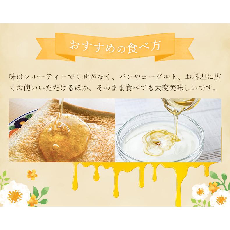 外国産はちみつ　ウルモハニー　南米チリ産蜂蜜　南米のマヌカハニーと呼ばれています　160g　ガラス瓶入り　創業百二十余年藤原養蜂場｜fujiwarayohojo｜04