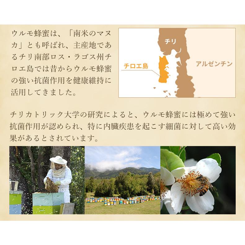 外国産はちみつ　ウルモハニー　南米チリ産蜂蜜　南米のマヌカハニーと呼ばれています　1KG(1000g)　ポリ容器入り　創業百二十余年藤原養蜂場｜fujiwarayohojo｜03