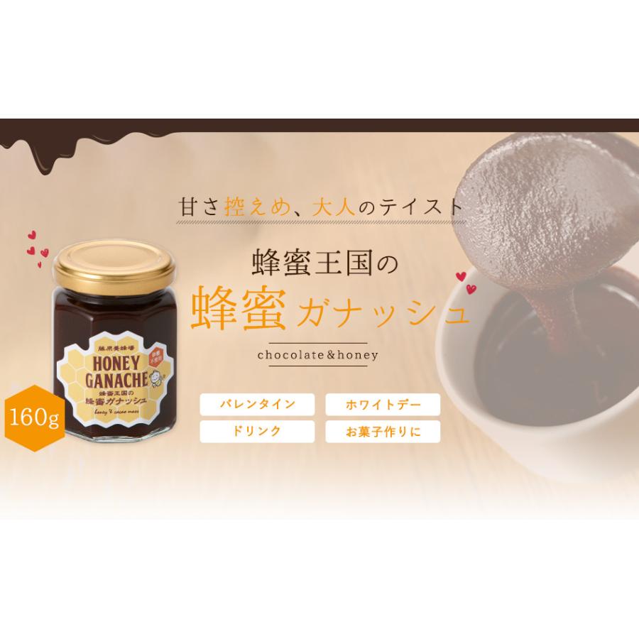 はちみつ 蜂蜜王国の蜂蜜ガナッシュ ハチミツチョコレート 贈り物に最適 160g 創業百二十余年老舗藤原養蜂場 4533706690115 藤原養蜂場 通販 Yahoo ショッピング
