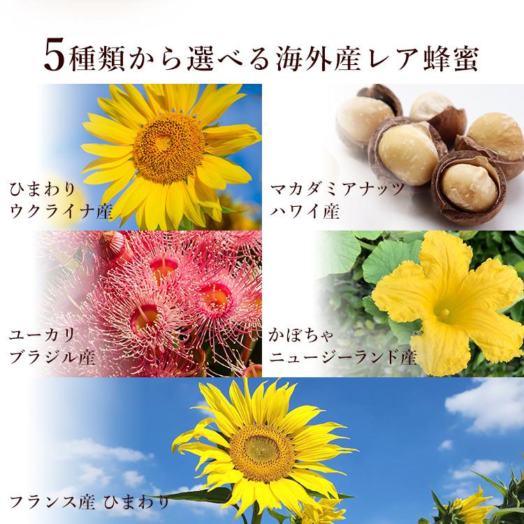 海外産 レア蜂蜜 150g 5種類から選べる 藤原養蜂場 : 藤原養蜂場