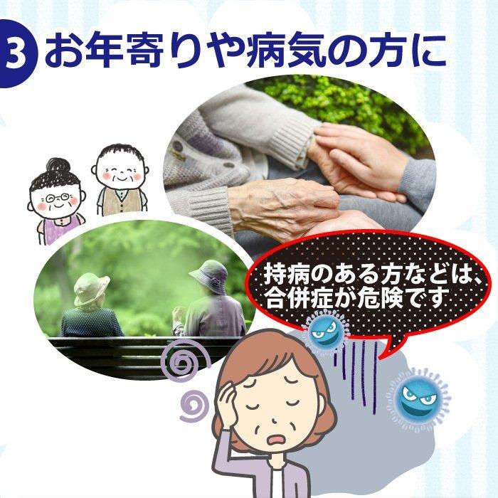 引出物 ウイルス 細菌 対策 除菌スプレー ノロクリン 本体 300ｍl 24個 ケース 感染 食中毒 予防 強力 除去 日本製 安全 Riosmauricio Com