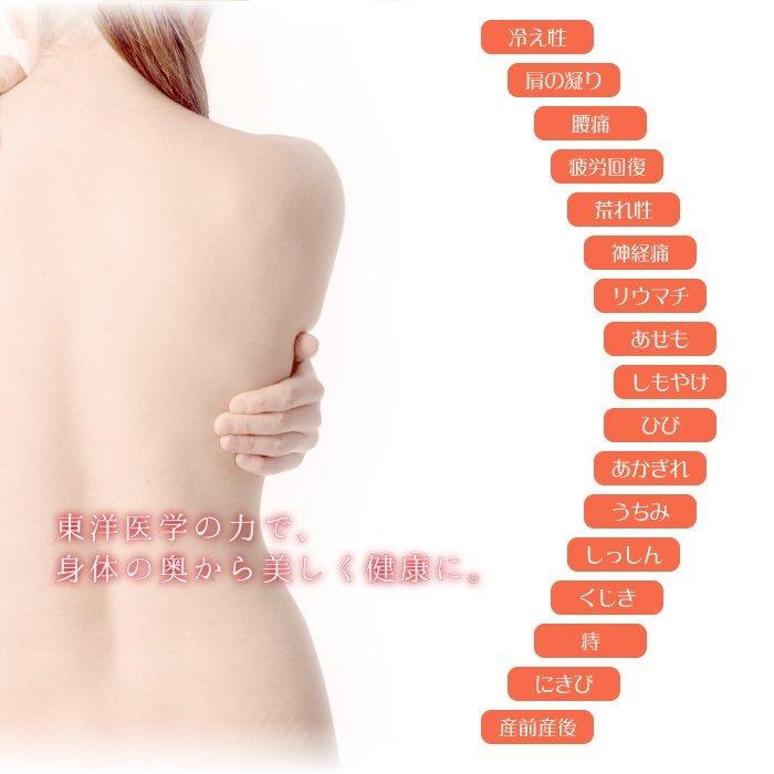 薬用 入浴剤 百薬湯 UYEKIの湯 30g×10包×20個／ケース 爆買の画像