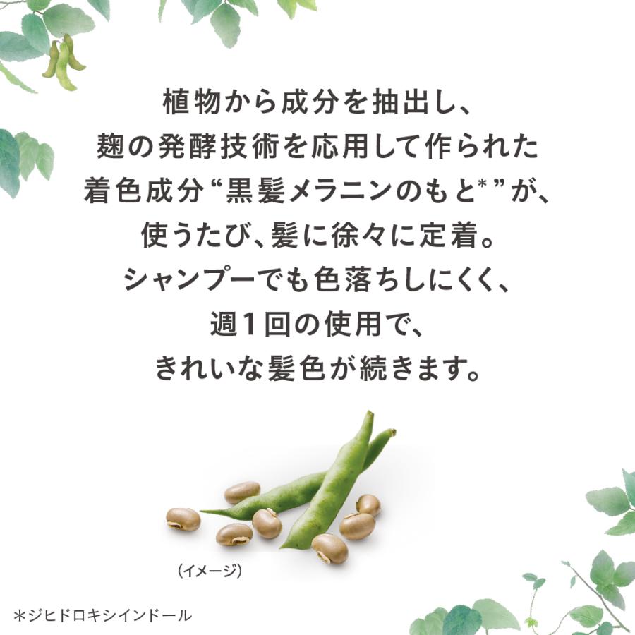 ブローネ リライズ ブラック 花王 ナチュリラ 色長持ちカラー
