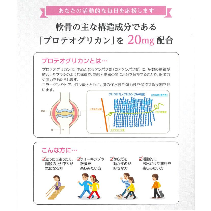 プロテオグリカン20（60包） プロテオグリカン ゼリー 寒天 スティック 